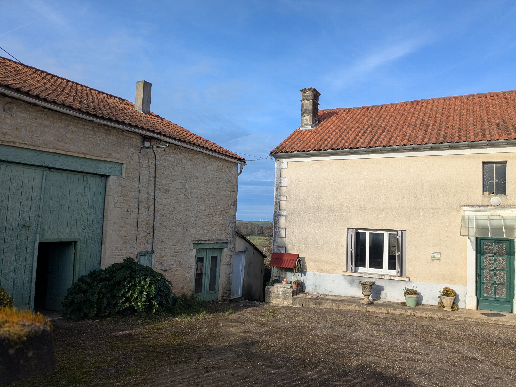 Longère Charentaise_Mouton