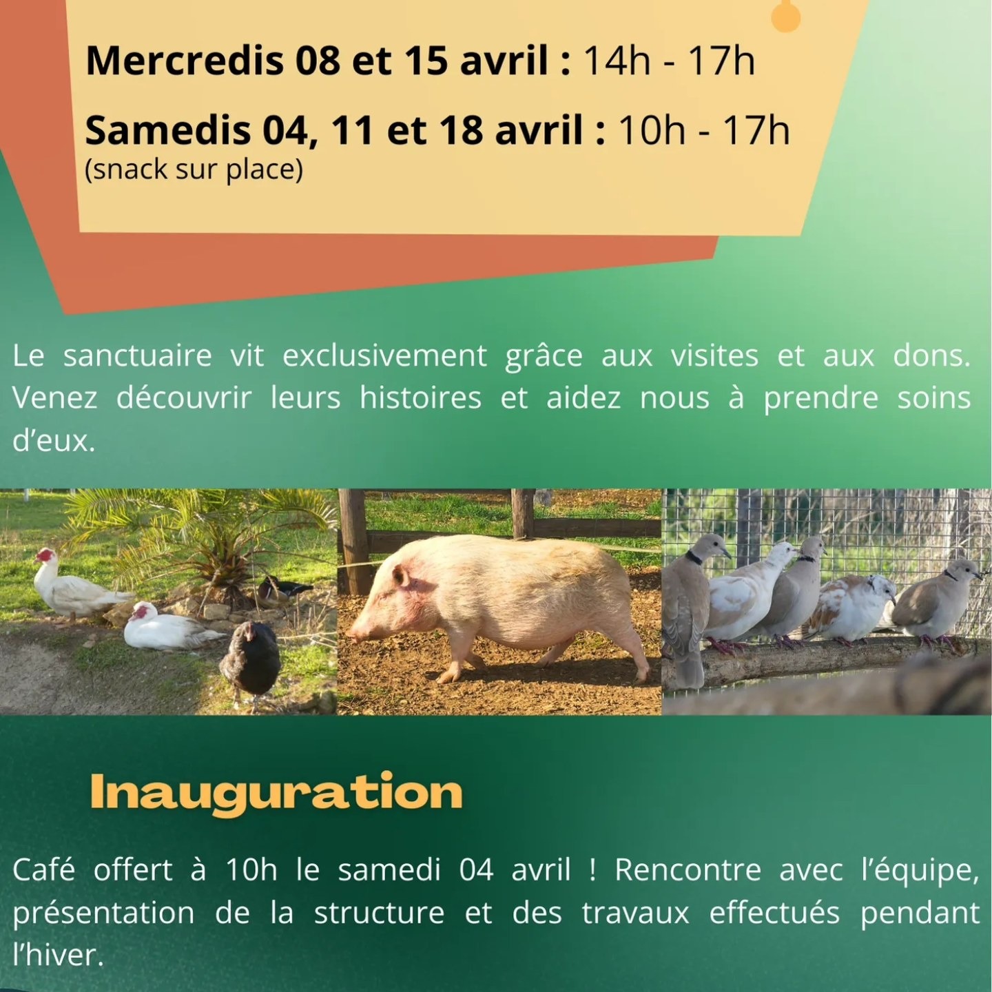 Inauguration du sanctuaire des poids plumes_Ventouse