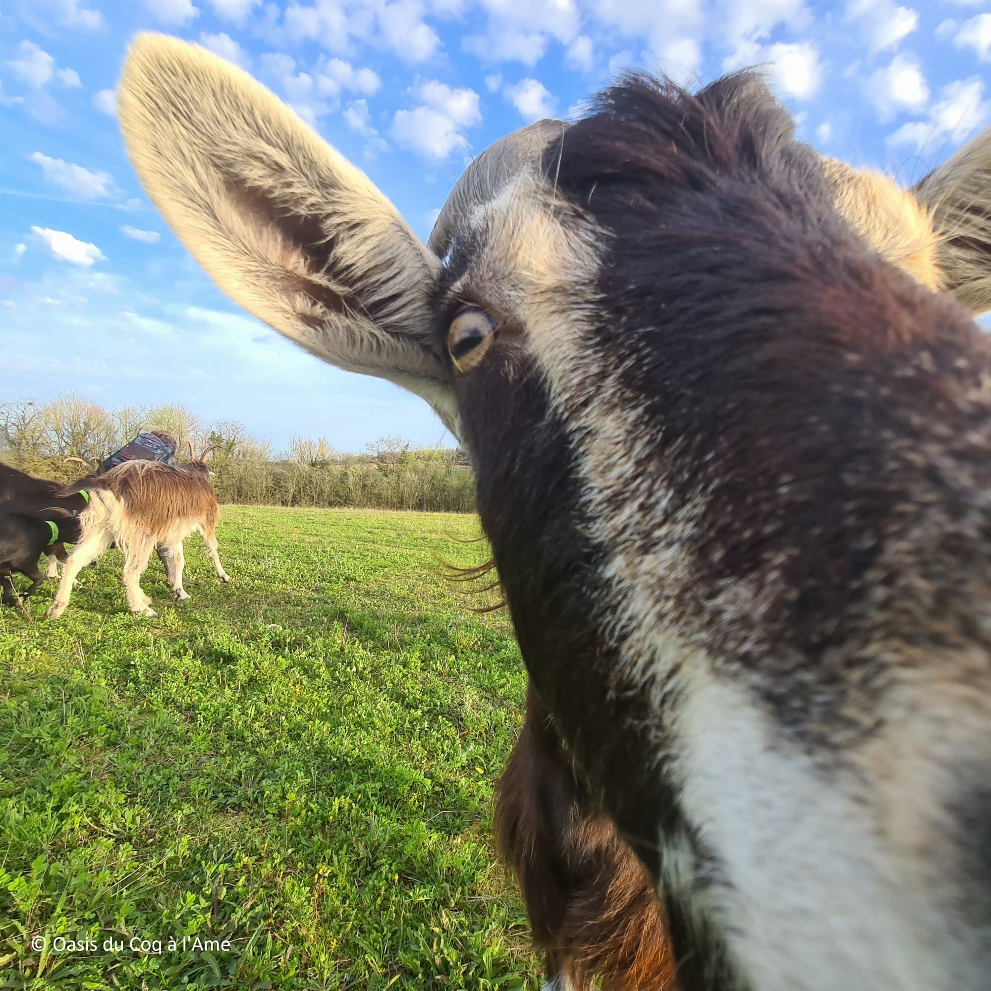 Fromager/ère d'un jour_Cellettes