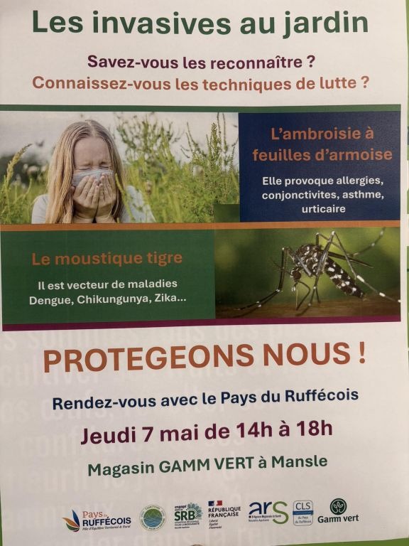 Les invasives au jardin_Mansle-les-Fontaines