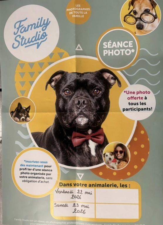 Séance photo dans votre animalerie_Mansle-les-Fontaines