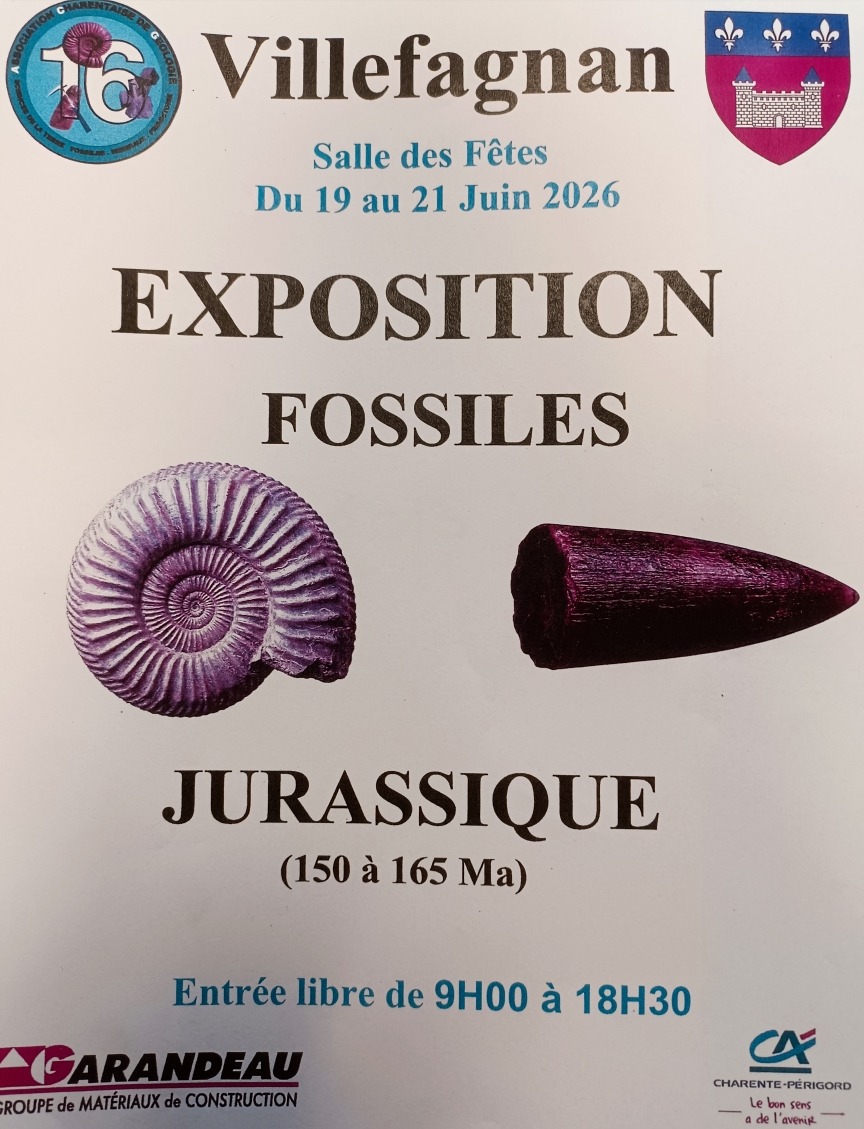 Exposition de fossiles_Villefagnan