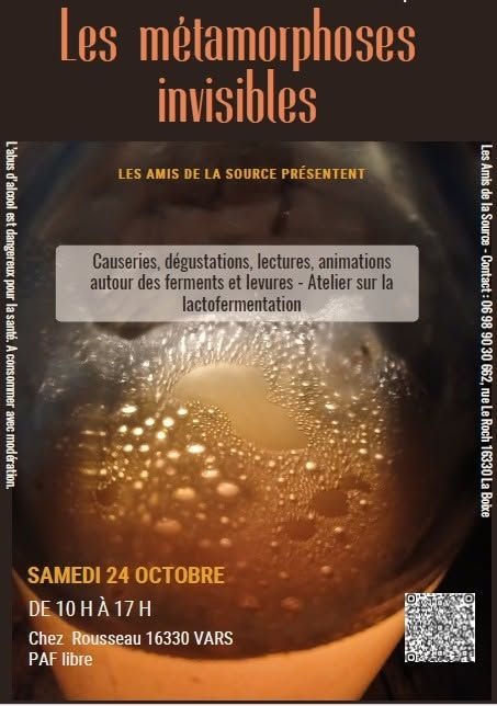 Les métamorphoses invisibles_La Boixe