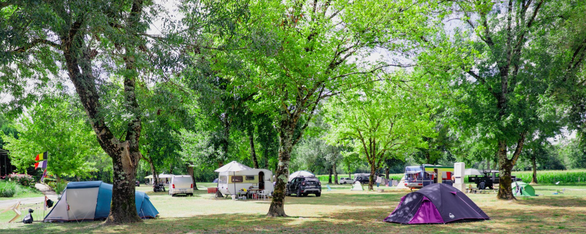 camping des platanes à Montignac-Charente