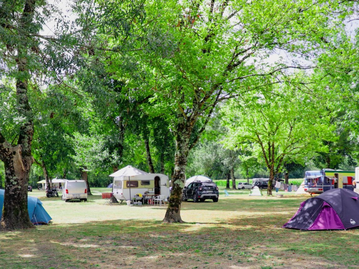 camping des platanes à Montignac-Charente