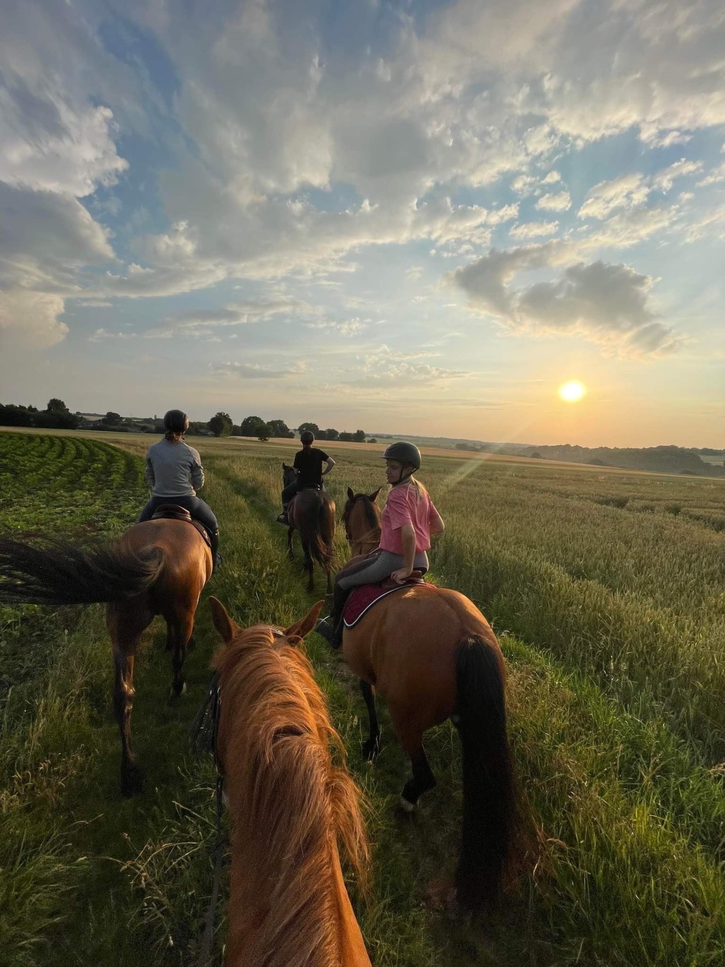 Balade en cheval dans les campagnes charentaises avec Equinatureau de Taizé-Aizie