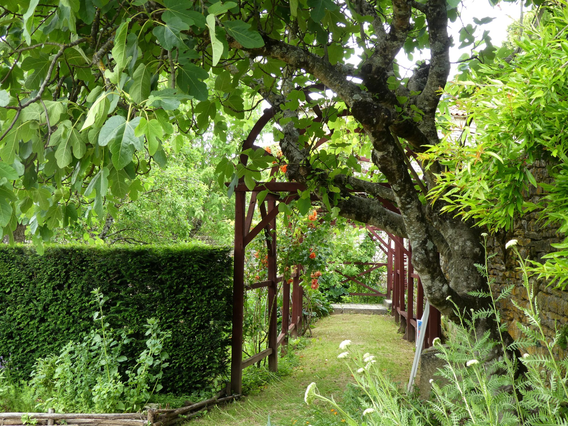 Jardin médiéval de Tusson