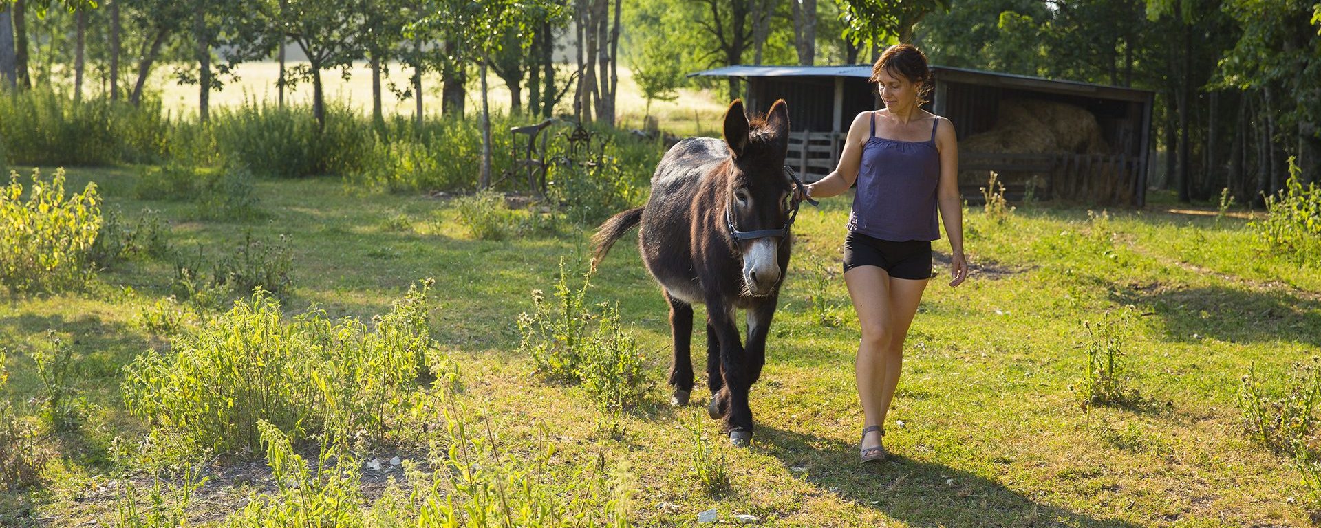 balade avec un âne en Nord Charente