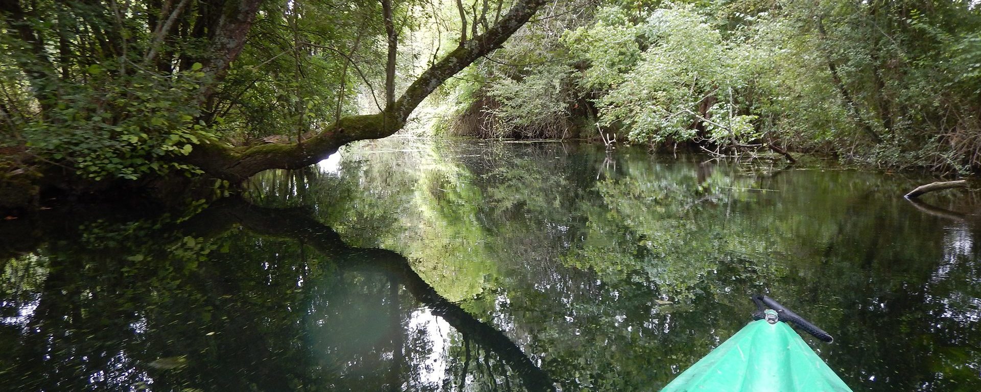 Nature préservée aux abords de la Charente