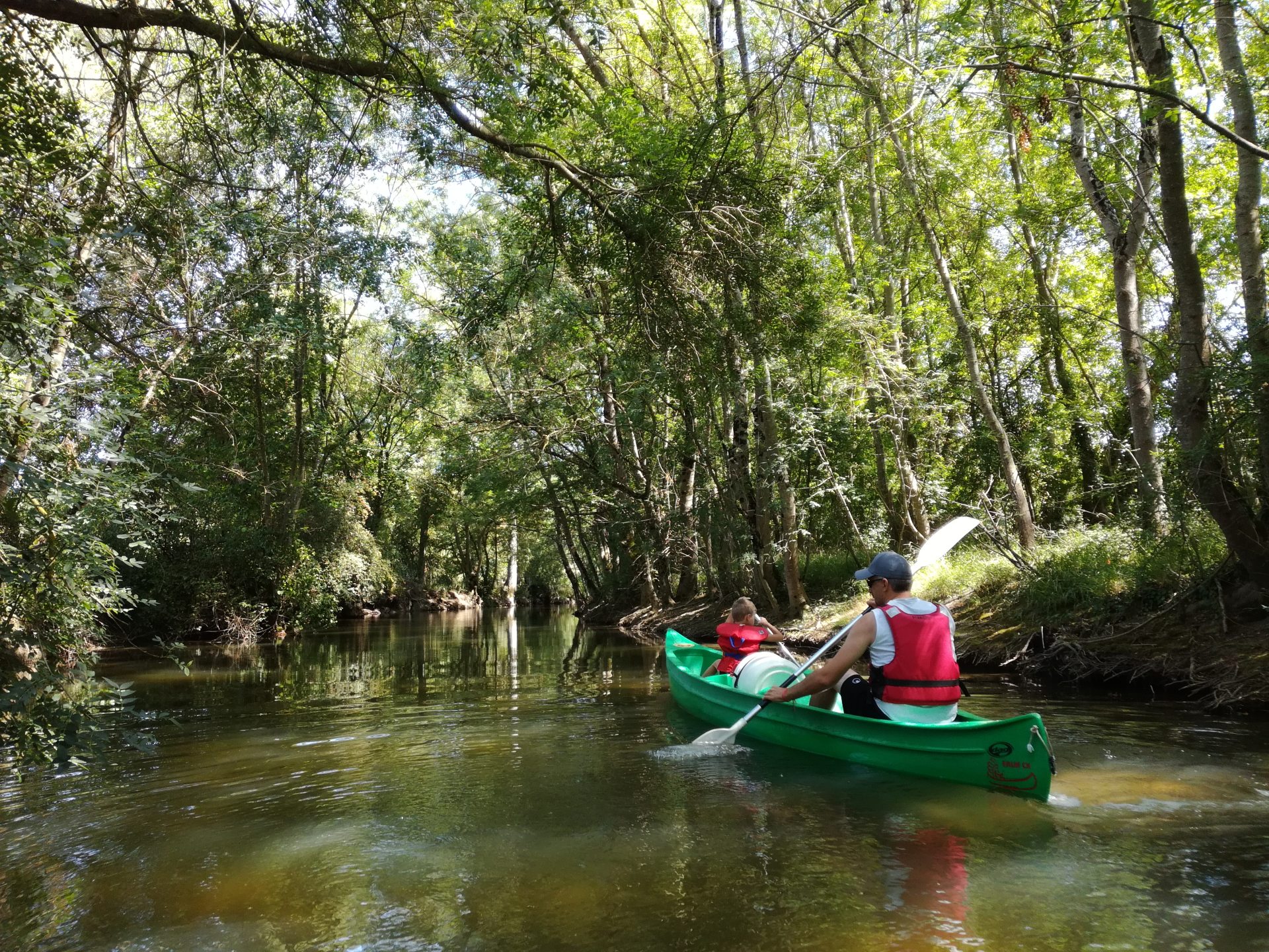 Balade ombragée, sur le fleuve Charente en canoë