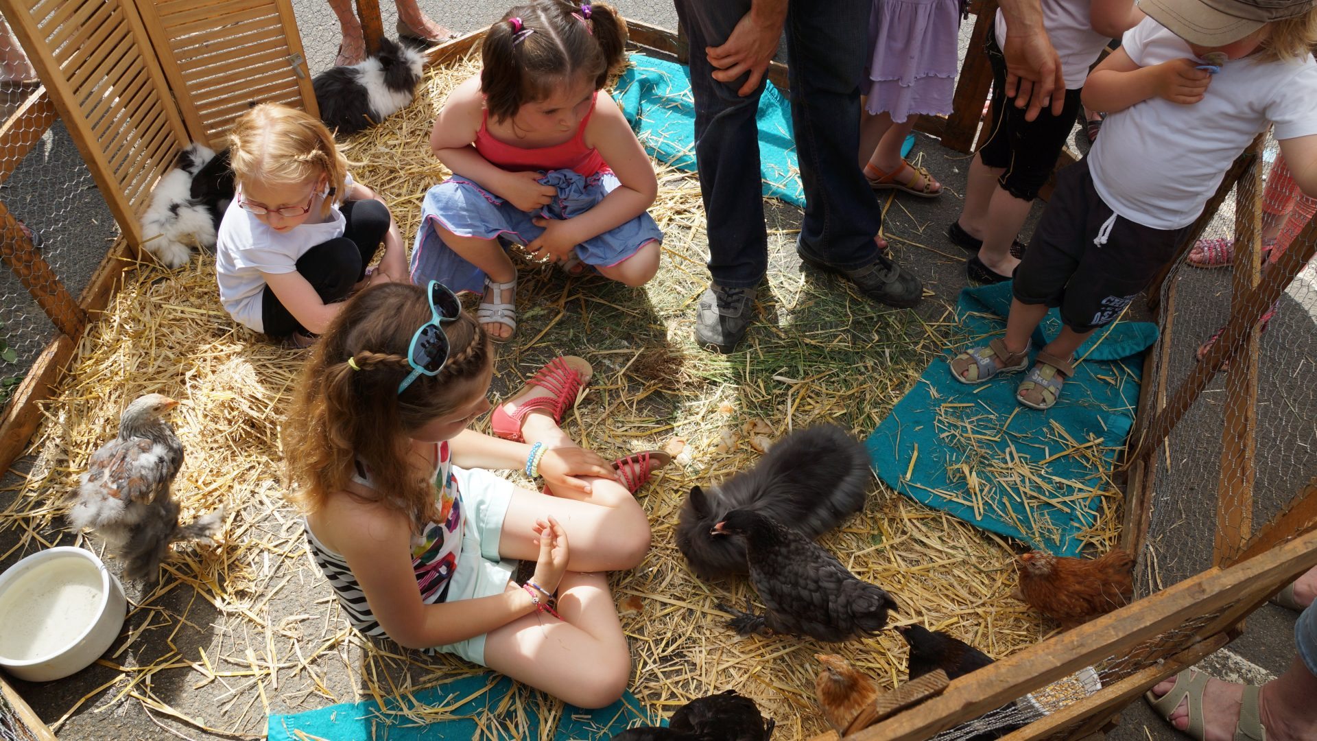 Visite guidée de la ferme d'Yvonne de l'Oasis du Coq à l'âme à Echoisy en Nord Charente