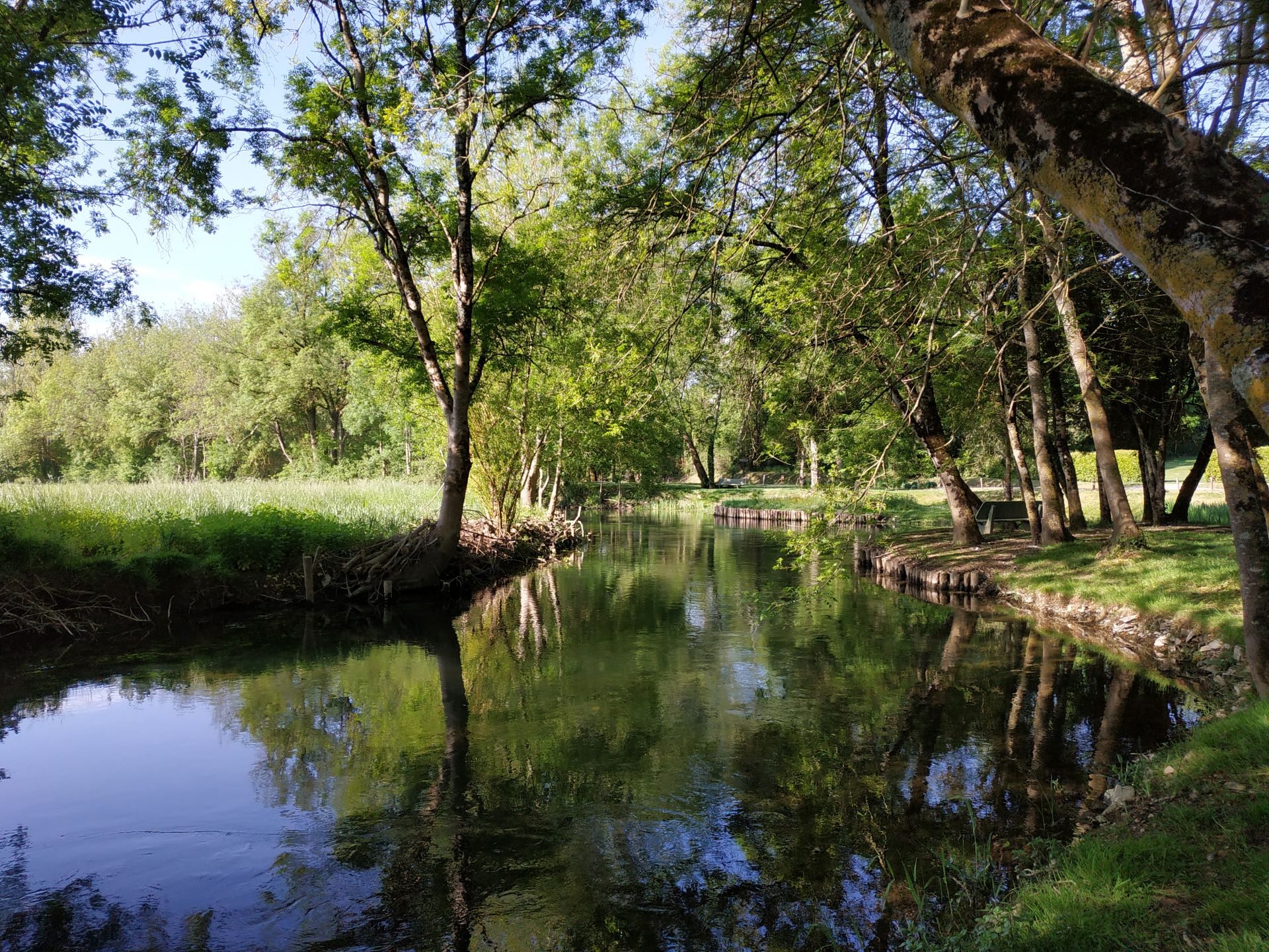 Le Fleuve Charente à St Groux