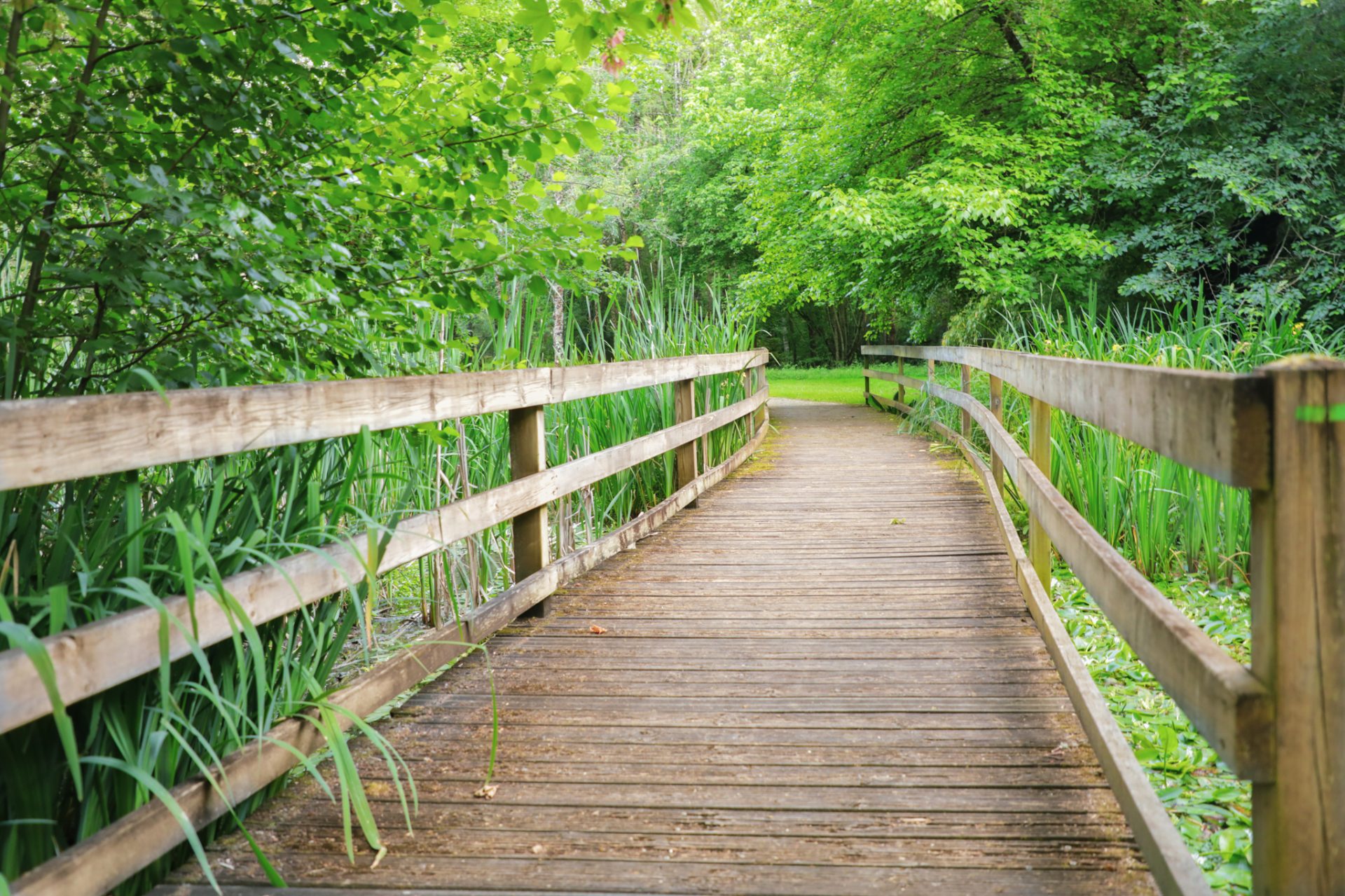 Pont du jardin de l'Argentor de Nanteuil-en-Vallée au printemps