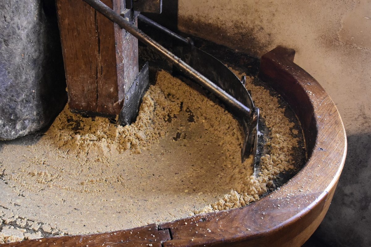 Grain moulu au moulin de Churet en Charente