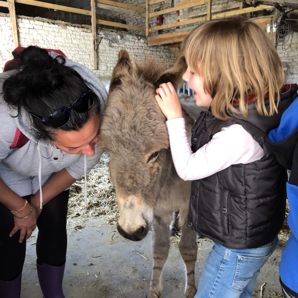 Visite de l'asinerie des thibauds d'Ambérac