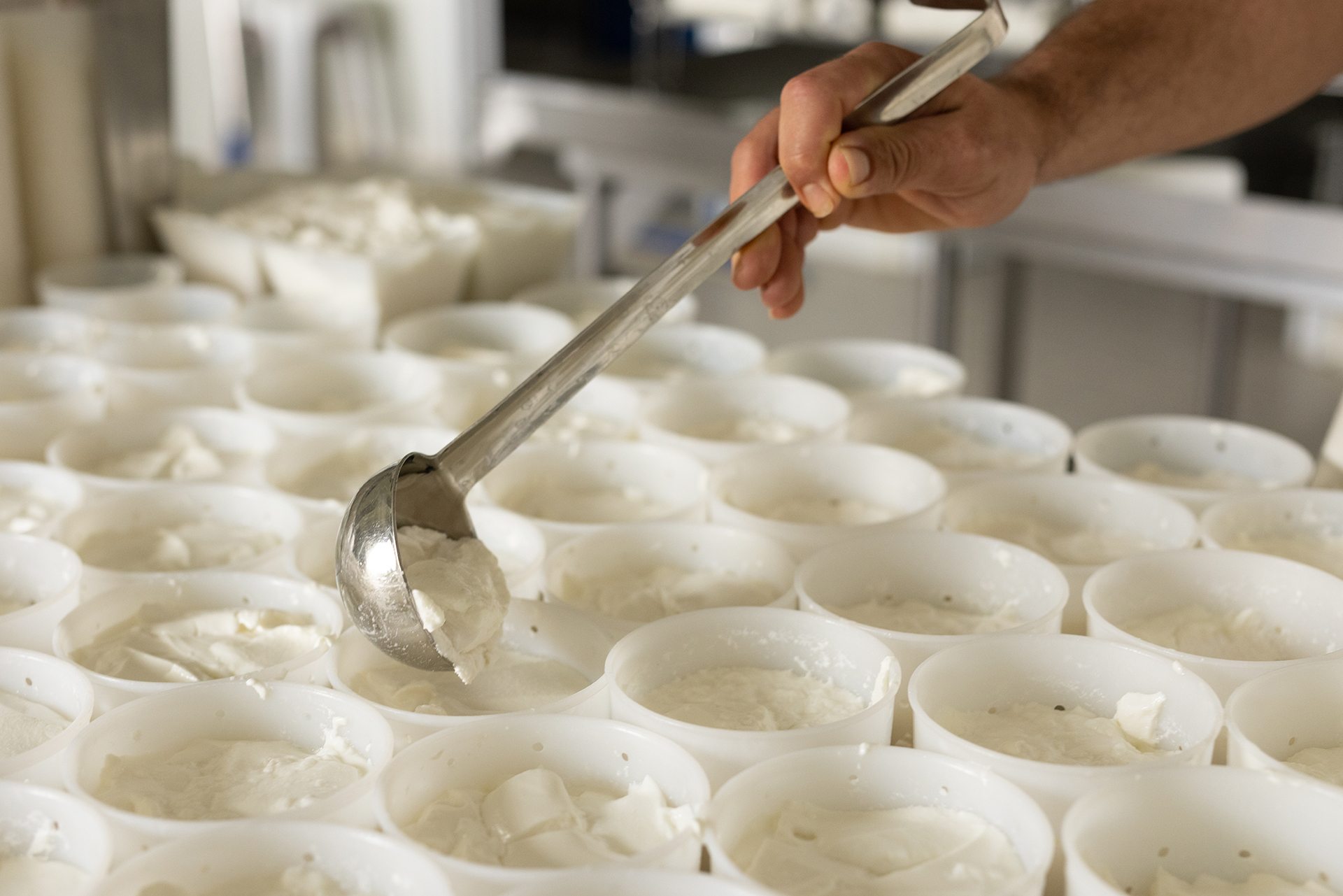 Production de fromage