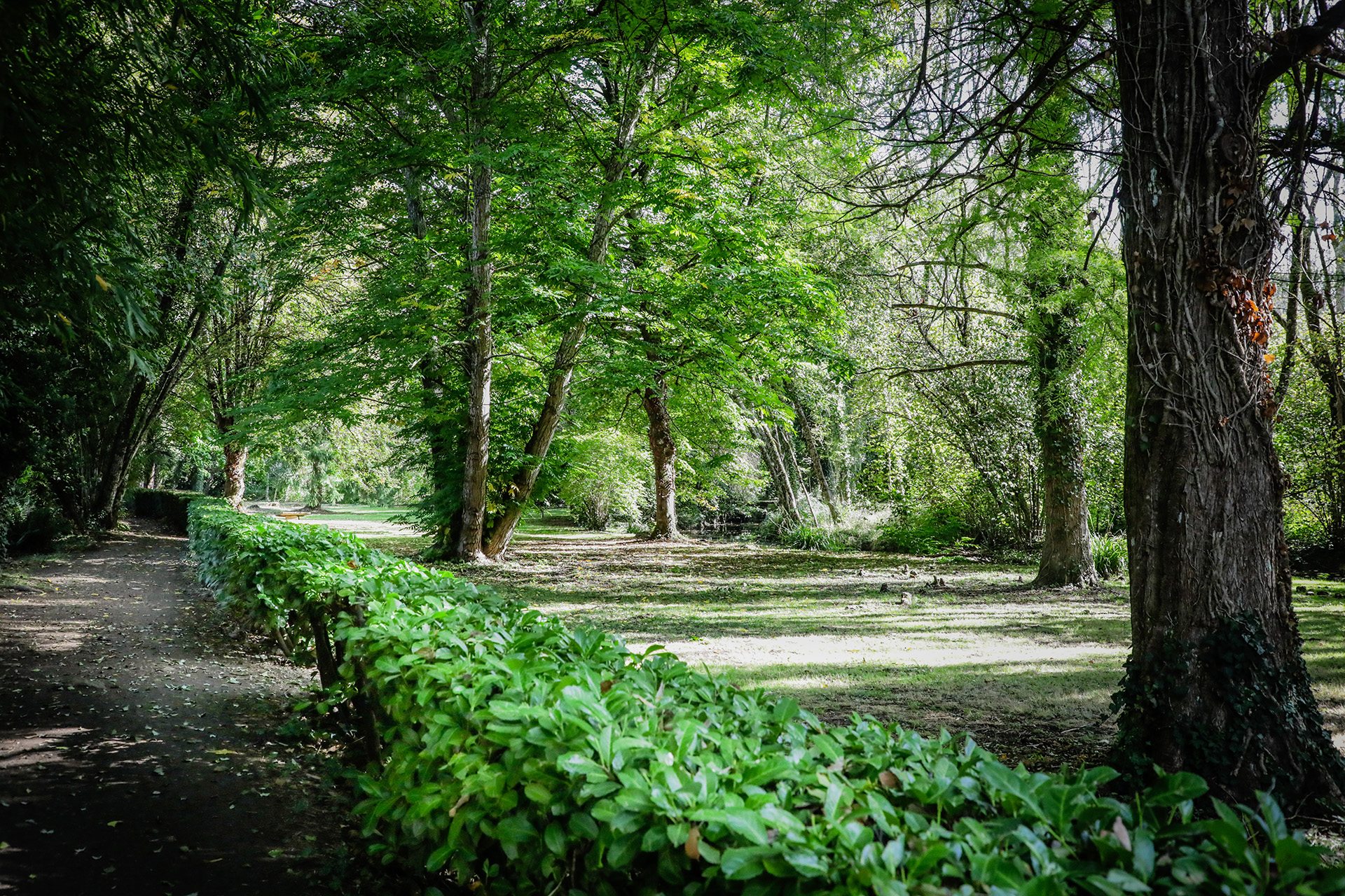 arbres aux Jardins de l'Argentor à Nanteuil-en-Vallée