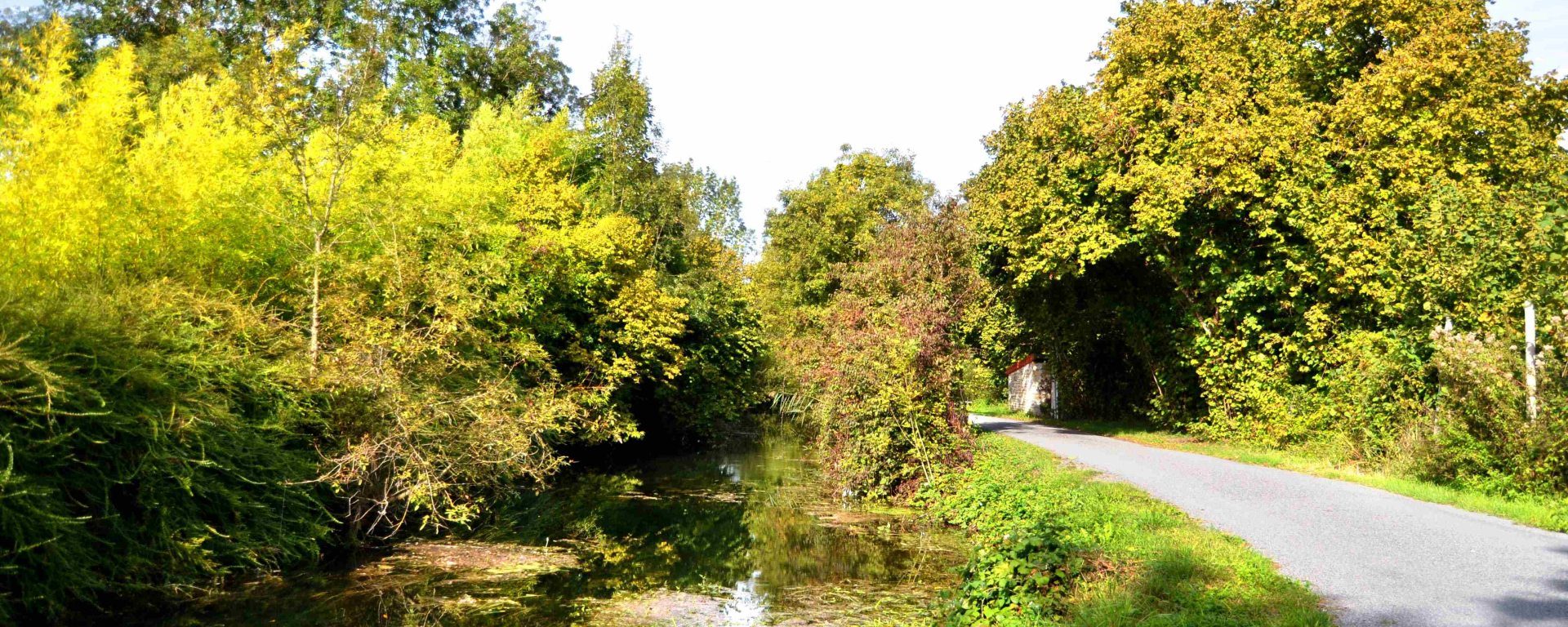 l'osme le long de la balade nature et patrimoine de Aigre