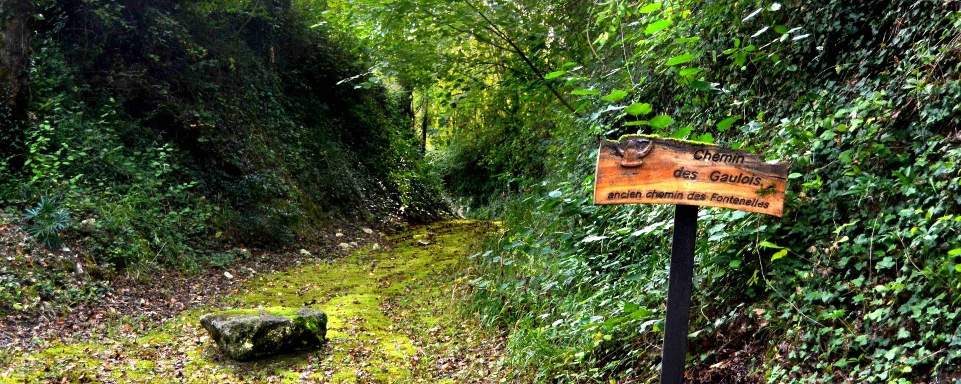 Chemin des gaulois sur la balade nature et patrimoine de Vouharte