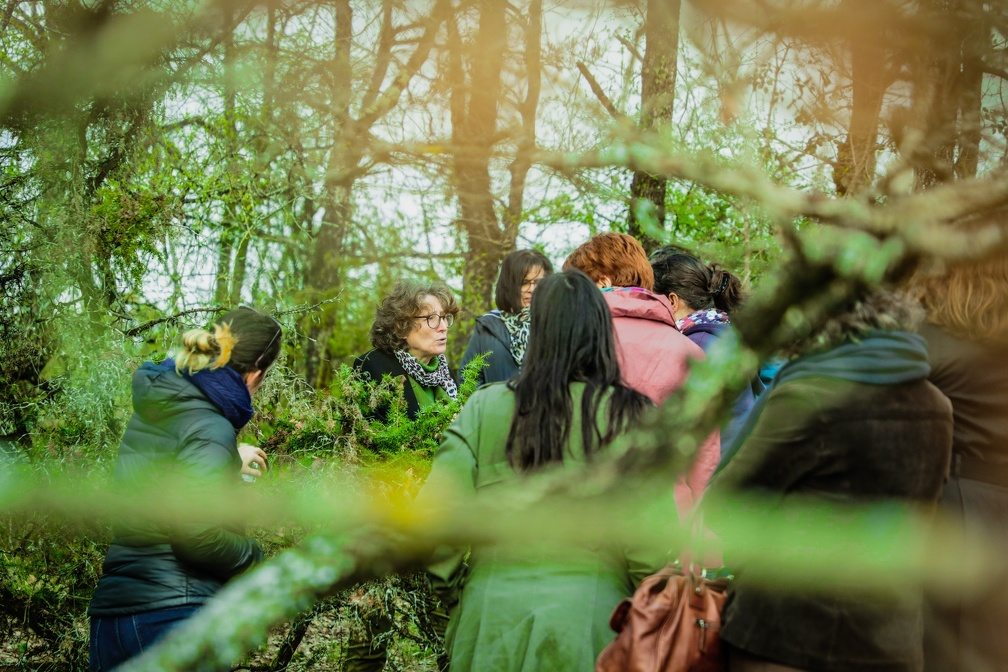 Tistoue Végétale fait la découverte des plantes au cours d'une balade commentée