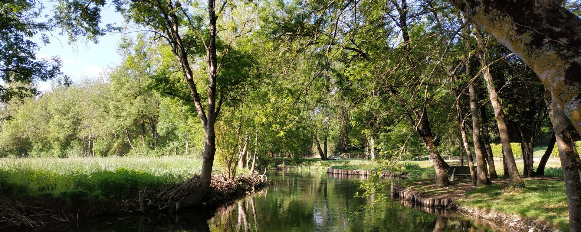 Le Fleuve Charente à St Groux