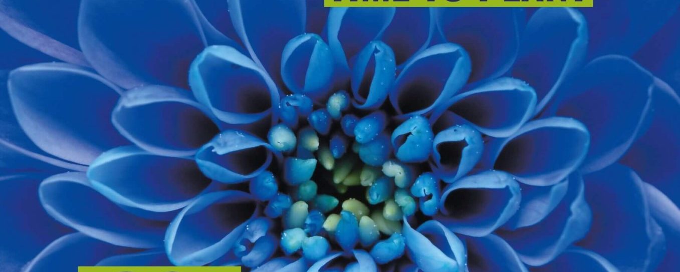 affiche des Florales d'automne 2025
