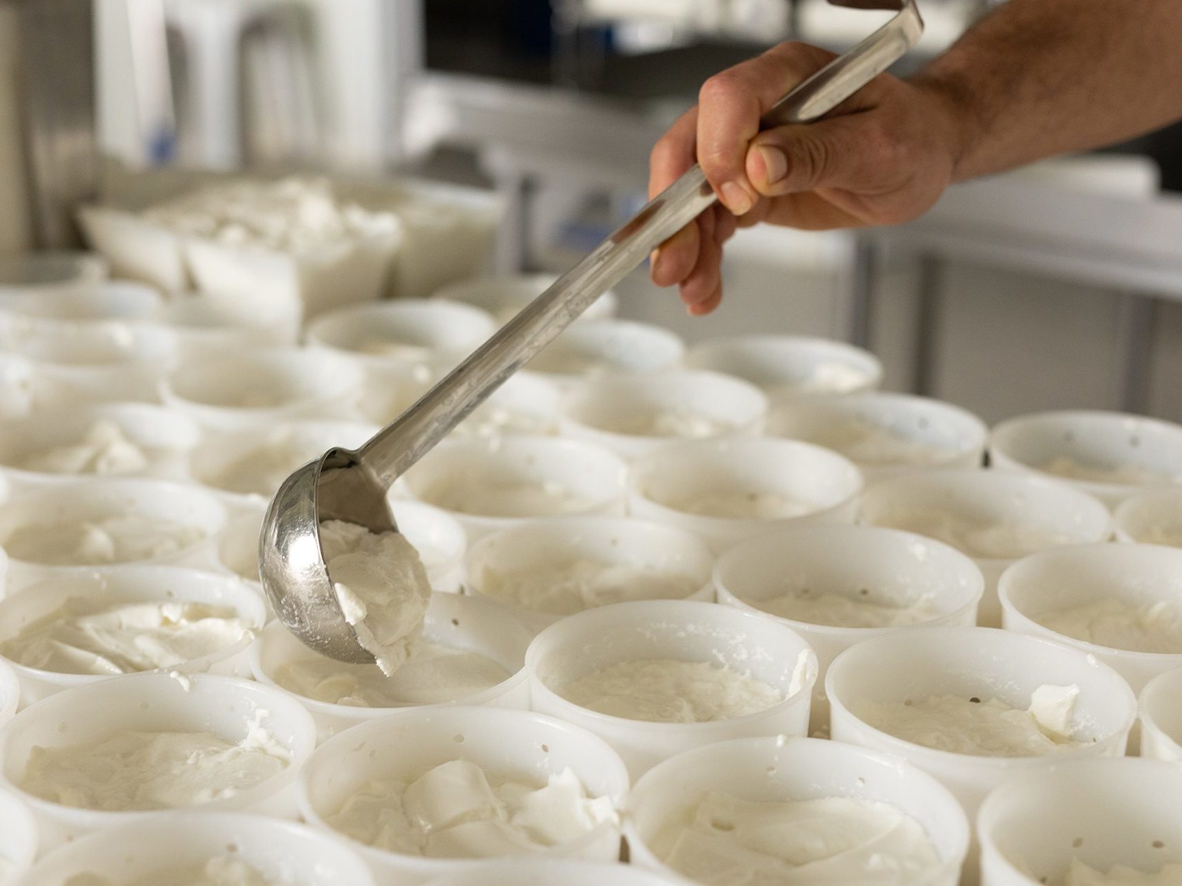 Production de fromage