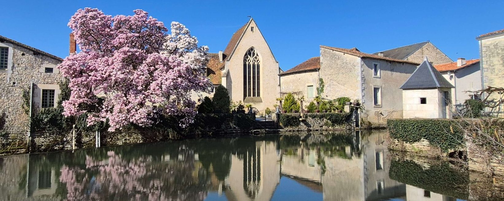 Printemps - Cordeliers à Verteuil-sur-Charente