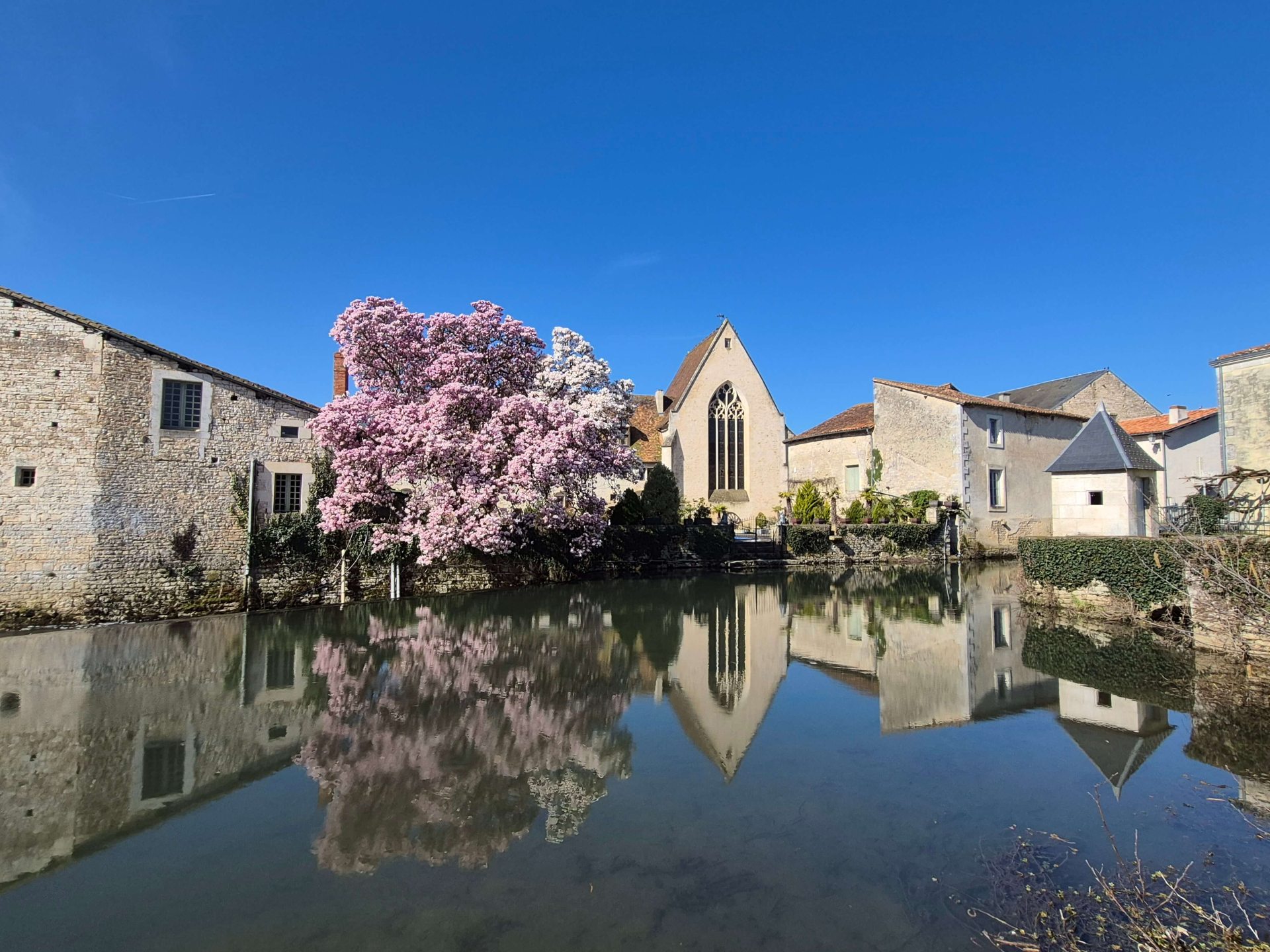 Printemps - Cordeliers à Verteuil-sur-Charente