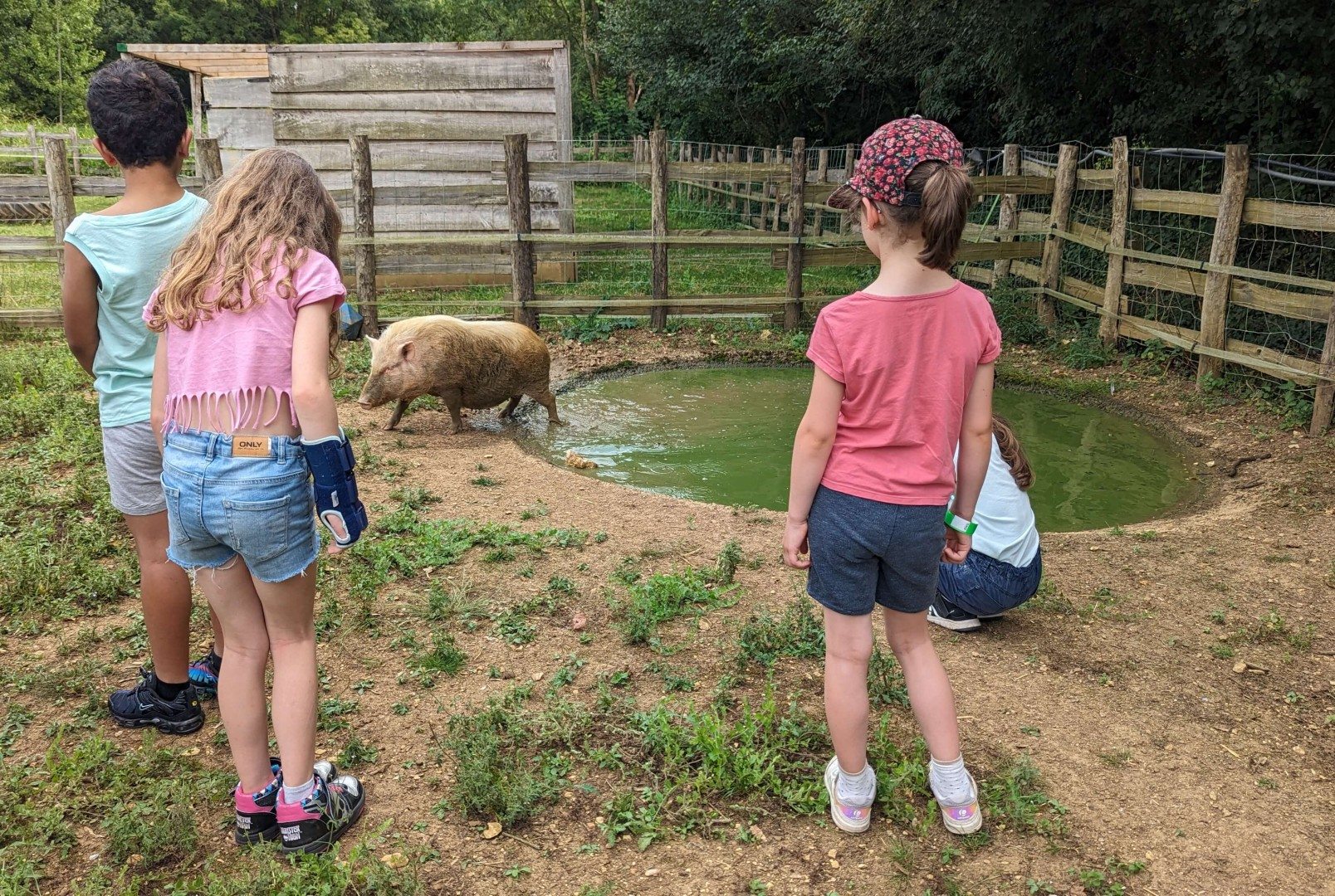 Sanctuaire des Poids Plumes à Ventouse