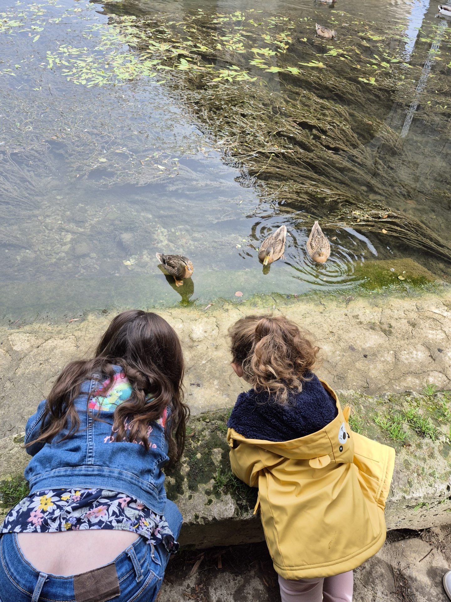 découverte et balade quiz au fil de nos histoires à mansle-les-Fontaines en Nord Charente.
