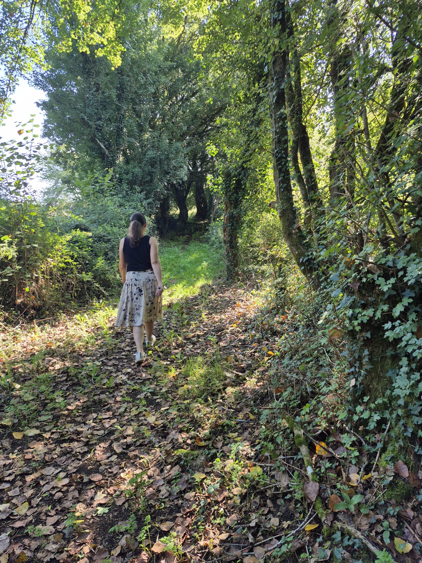 balade quiz Au fil de nos histoires en Nord Charente , à St Sulpice-de-Ruffec