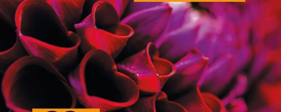 florales 2026
