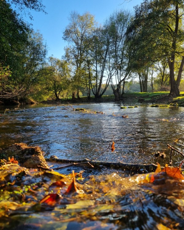 🍂 Coup de cœur d’automne !
Ici,...