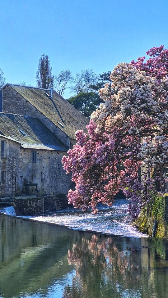 Un air de printemps en Nord Charente...