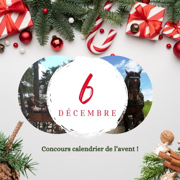 [Calendrier de lavent]
6ème case du...