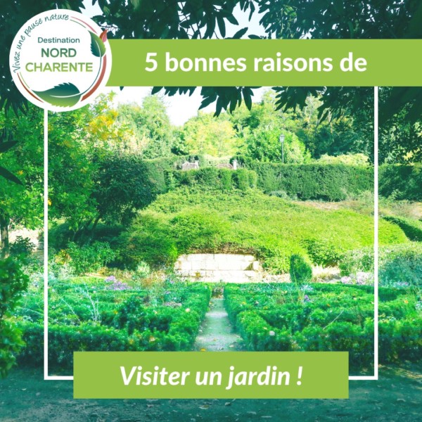 [5 bonnes raisons de visiter un...