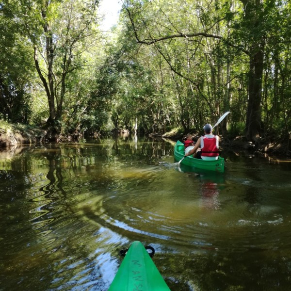 🛶 Nos bases canoë 🛶
Pour se...
