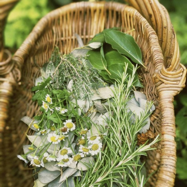[Tous au jardin !]
Le printemps est...