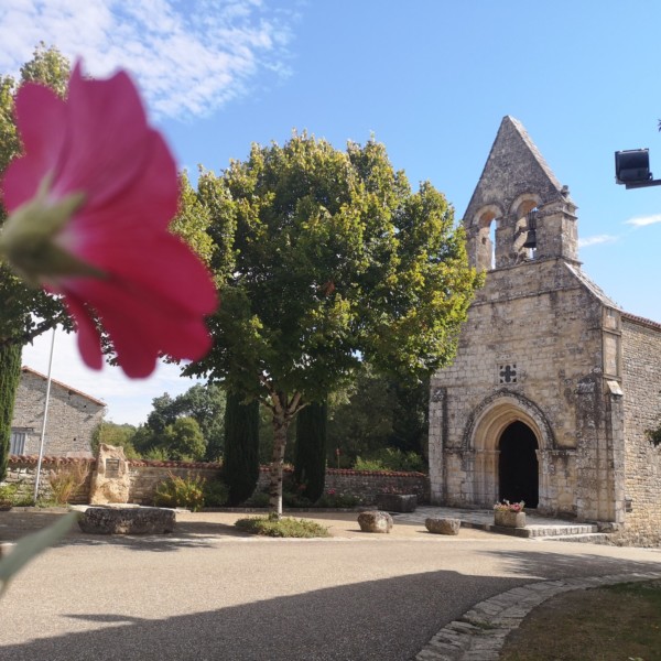 🥾 RANDO DU MOIS 🥾

Pour ce mois...